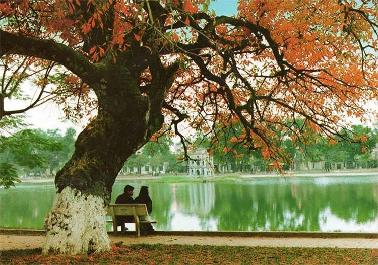 Picture 12 of Beams of photos: Sac autumn brilliantly all over the world