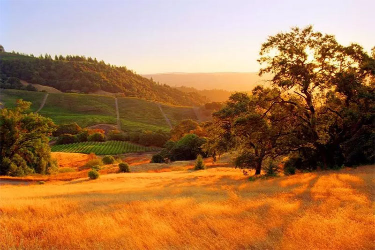 Picture 2 of Beams of photos: Sac autumn brilliantly all over the world