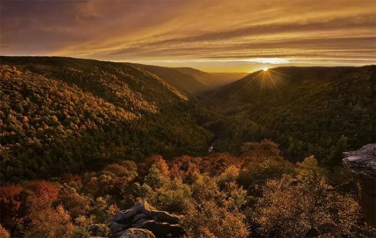 Picture 4 of Beams of photos: Sac autumn brilliantly all over the world