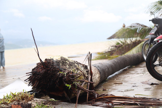 Picture 11 of Beams of photos: Storm No. 12 sweeps, Khanh Hoa has been deserted and never seen after more than 20 years