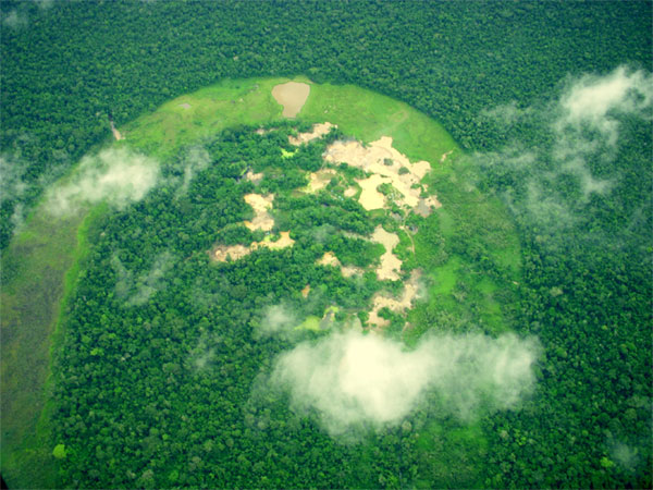 Picture 9 of Beautiful Amazon natural forest comes to awe