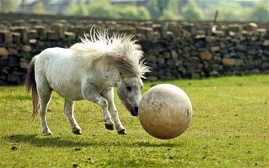 Beautiful animal photos for the week images 1