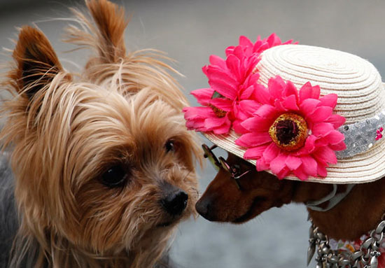 Beautiful animal photos for the week images 4