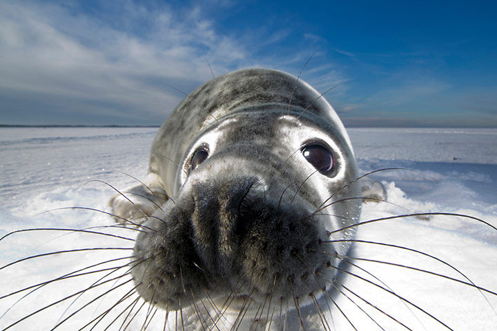 Beautiful animal photos last week images 1