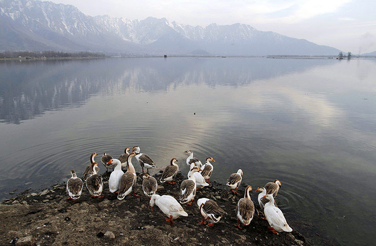 Beautiful animal photos last week images 4