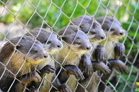 Picture 8 of Beautiful animal photos last week