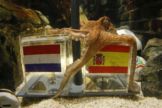 Picture 7 of Beautiful animal photos of 2010 from all over the world