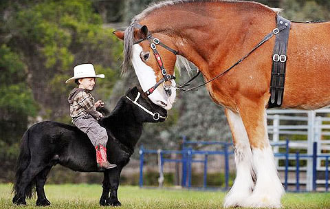 Picture 1 of Beautiful animal photos of the year