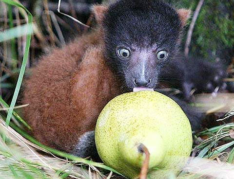 Picture 7 of Beautiful animal photos of the year