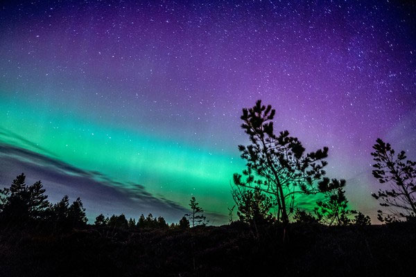 Picture 5 of Beautiful aurora in the Lewis Island area