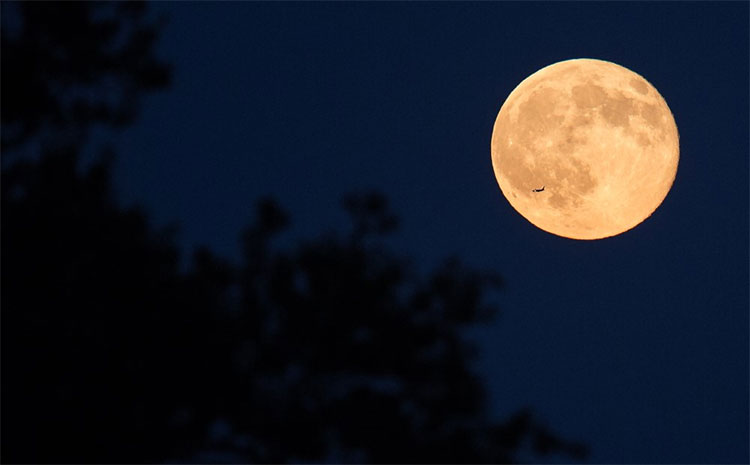 Picture 12 of Beautiful ghostly image of the last super moon in 2019