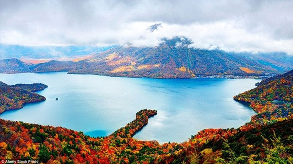 Picture 1 of Beautiful 'golden autumn' paintings in countries