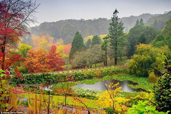 Picture 14 of Beautiful 'golden autumn' paintings in countries