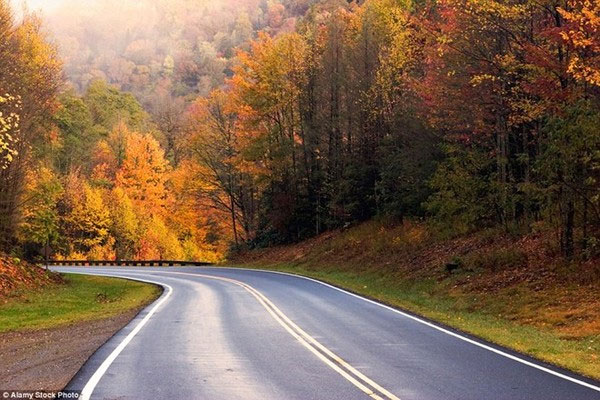 Picture 15 of Beautiful 'golden autumn' paintings in countries