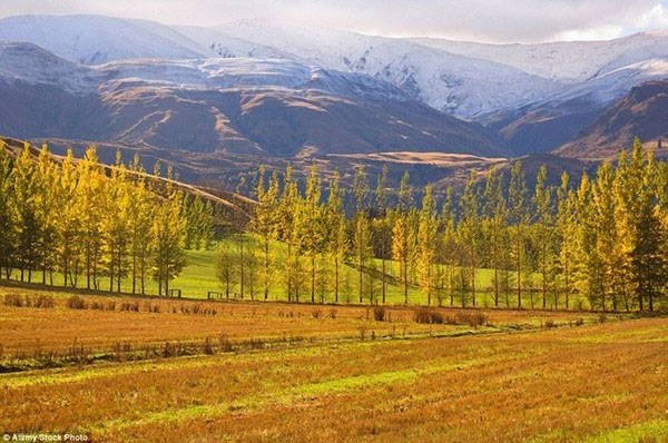 Picture 17 of Beautiful 'golden autumn' paintings in countries