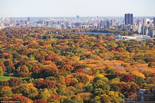 Picture 2 of Beautiful 'golden autumn' paintings in countries