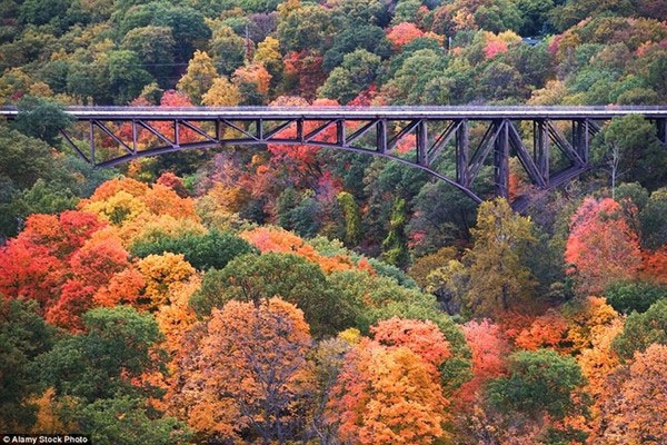 Picture 3 of Beautiful 'golden autumn' paintings in countries