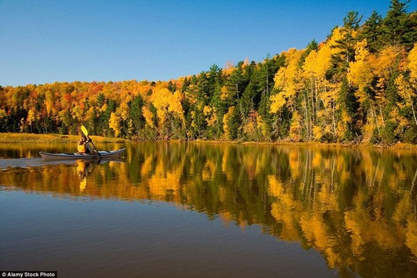 Picture 6 of Beautiful 'golden autumn' paintings in countries