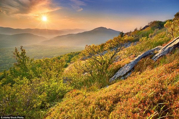 Picture 9 of Beautiful 'golden autumn' paintings in countries