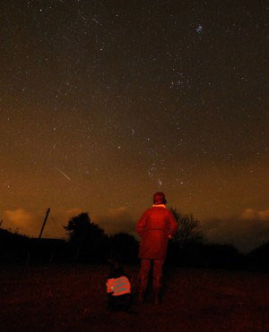 Picture 9 of Beautiful image of Geminid meteor shower