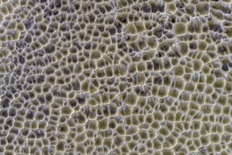 Picture 5 of Beautiful images are only available on Mars