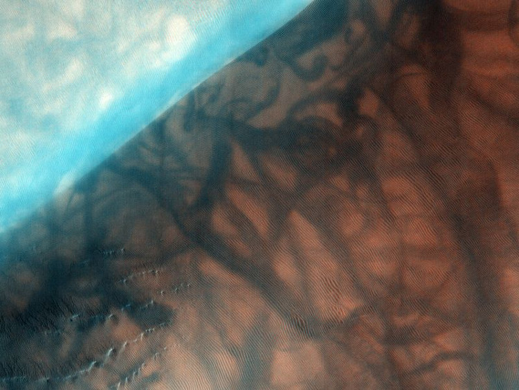 Picture 8 of Beautiful images are only available on Mars