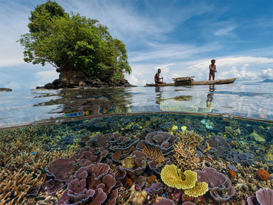 Picture 7 of Beautiful incredible paradise beneath the ocean