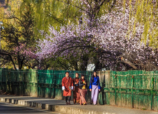 Picture 10 of Beautiful moments in the mysterious land of Bhutan
