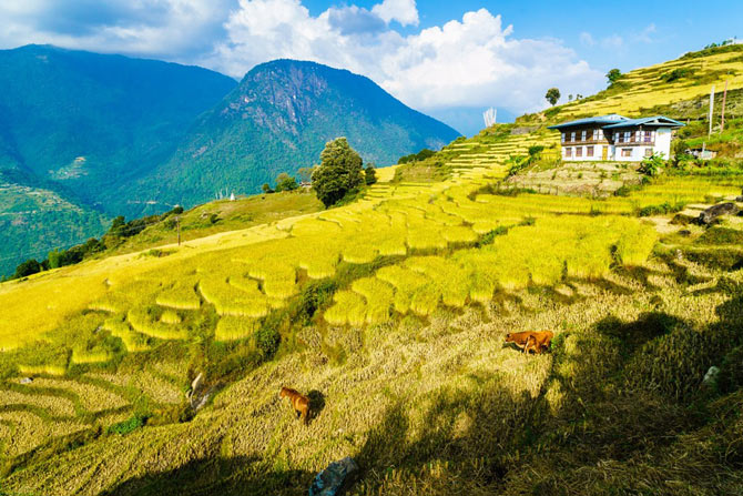 Picture 8 of Beautiful moments in the mysterious land of Bhutan