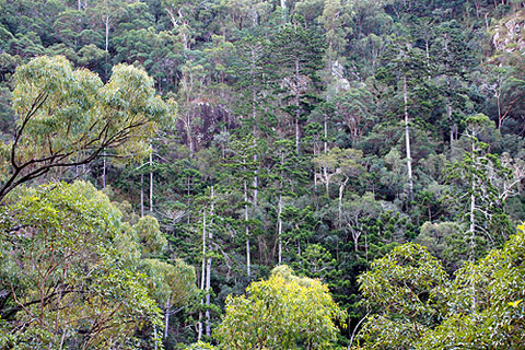 Picture 11 of Beautiful natural scenery in Australia