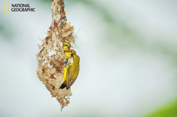 Picture 10 of Beautiful nature photos in a prestigious magazine