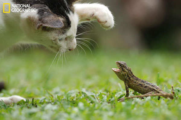 Picture 11 of Beautiful nature photos in a prestigious magazine