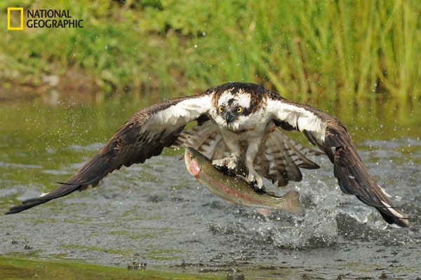 Picture 13 of Beautiful nature photos in a prestigious magazine