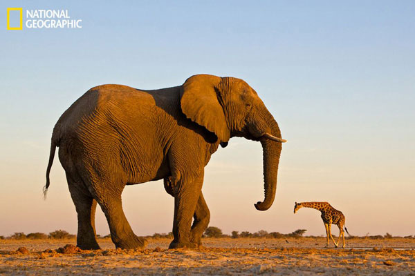 Picture 14 of Beautiful nature photos in a prestigious magazine
