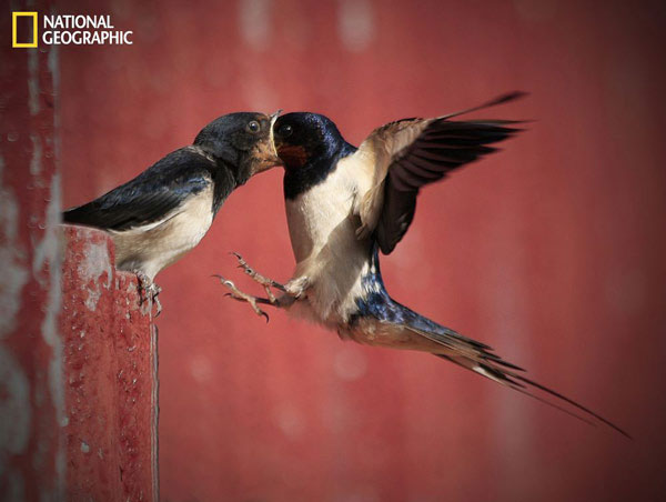 Picture 5 of Beautiful nature photos in a prestigious magazine