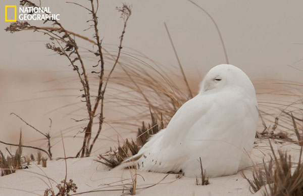 Picture 8 of Beautiful nature photos in a prestigious magazine