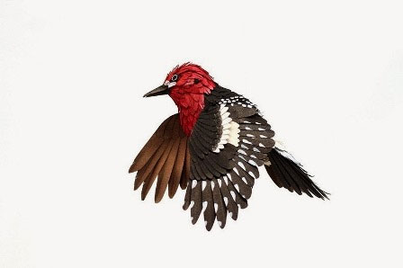 Picture 8 of Beautiful paper birds