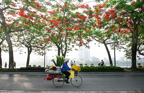 Picture 1 of Beautiful photo set about 'Hanoi - The street vendors'