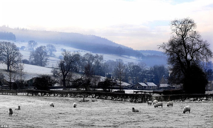 Picture 11 of Beautiful photo: winter morning in England when the temperature suddenly dropped sharply