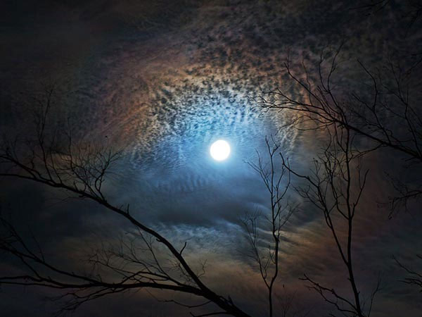 Picture 4 of Beautiful photos: Admire the most intense galaxy to form stars