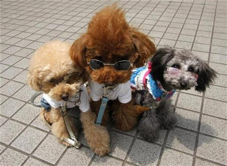 Picture 9 of Beautiful photos of animals in 2009