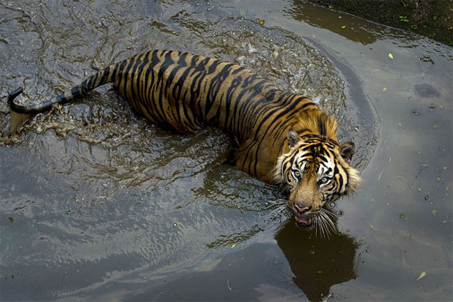 Picture 4 of Beautiful photos of animals
