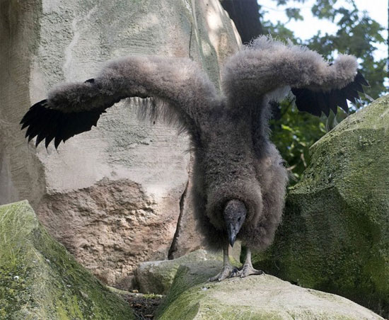 Picture 6 of Beautiful photos of animals