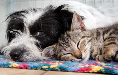 Picture 1 of Beautiful photos of the week
