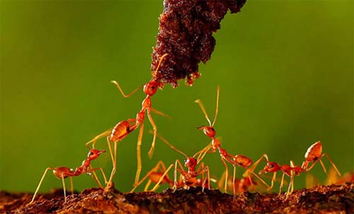 Picture 10 of Beautiful photos of the week
