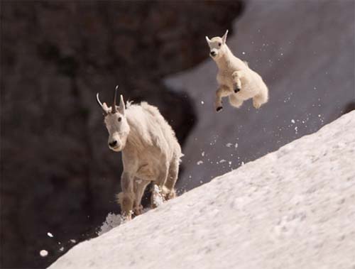Picture 2 of Beautiful photos of the week