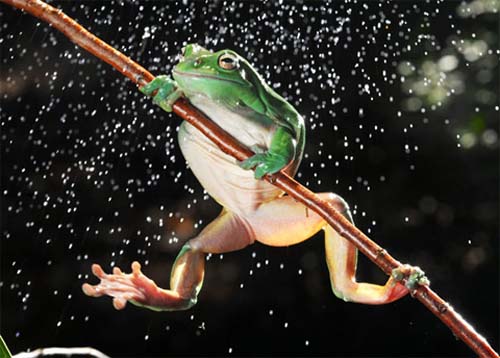 Picture 3 of Beautiful photos of the week