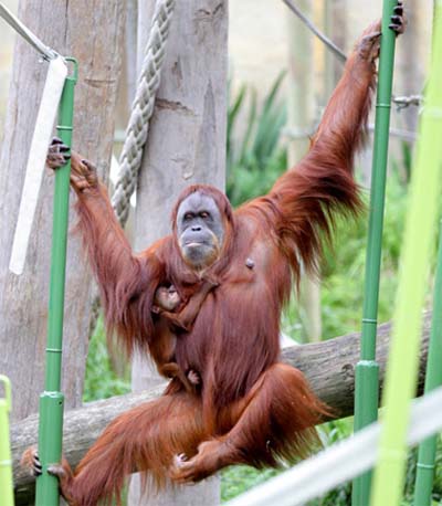 Picture 6 of Beautiful photos of the week