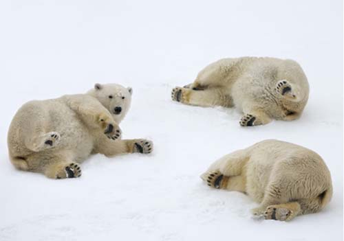Picture 7 of Beautiful photos of the week
