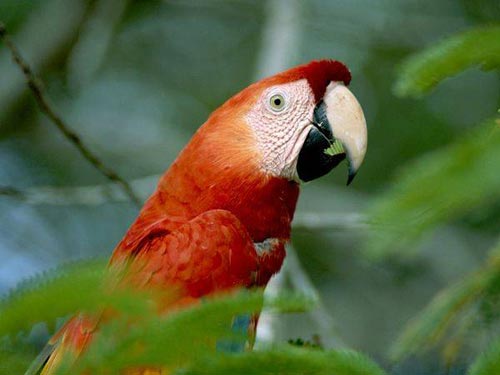 Picture 3 of Beautiful photos of tropical rainforest